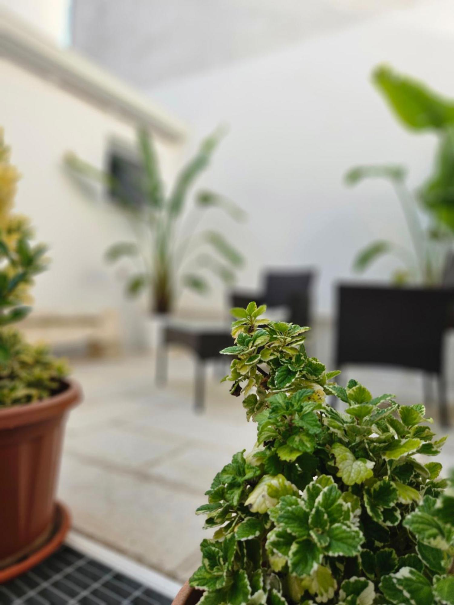 B&B La Campana Salentina Galatone Ngoại thất bức ảnh